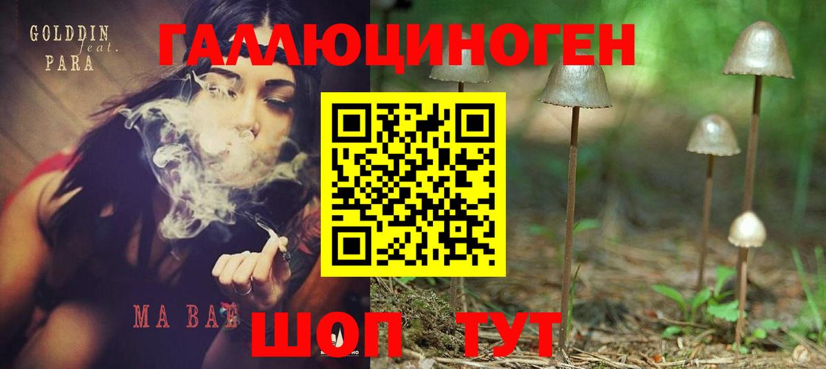 закладки  Псилоцибиновые грибы Cubensis  Лениногорск  Вход с VPN  Галлюциногенные грибы MAGIC MUSHROOMS 